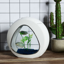 Load image into Gallery viewer, Fish Aquarium Tank
